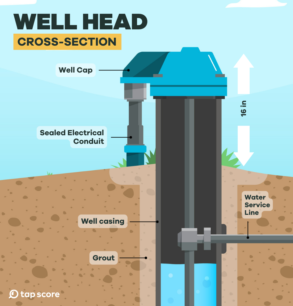 Cross-section diagram of a well head showing labeled components including the well cap, sealed electrical conduit, well casing, grout, and water service line, with an indicated depth of 16 inches.